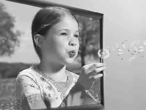 girl, puffball, sow-thistle, TV