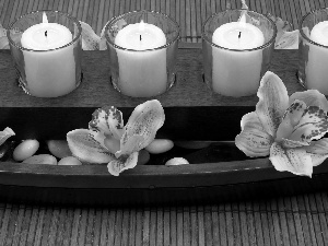 Candles, Stones, decoration, orchids