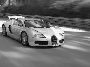 silver, full, speed, Veyron