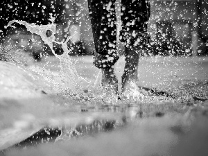 splash, water, legs