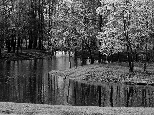 Spring, River, forest