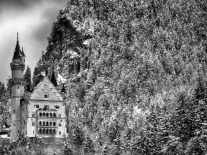 Neuschwanstein, Bavaria, Snowy, Castle, Germany, winter, Spruces