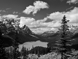 lake, Montana, Spruces, clouds, woods, Mountains