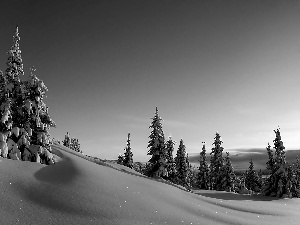 winter, Snowy, Spruces, Mountains