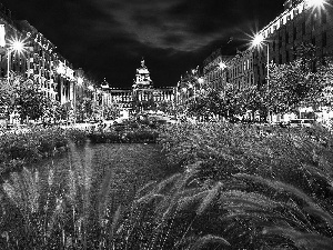 Wenceslas Square, Czech Republic, Street, City at Night, National Museum, Prague