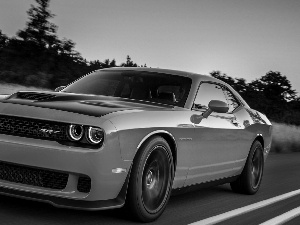 Green, Challenger, SRT, Dodge