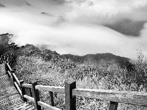 Mountains, grass, Stairs, Fog