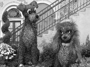 Stairs, Floral, puppies