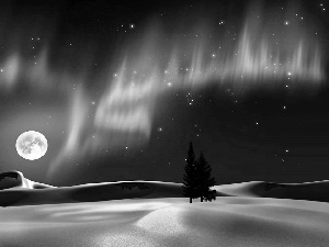 moon, field, dawn, Spruces, winter, star, Polaris