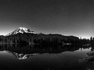 Starry, reflection, woods, lake, Mountains