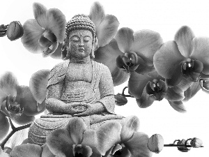 blue, orchids, Statue of Buddha, Flowers