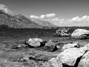 Lod on the beach, lake, viewes, The Hills, trees, Stones