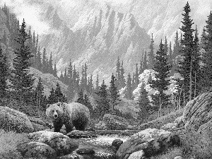 Stones, Bear, River, forest, Mountains