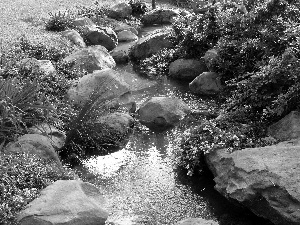 Stones, Meadow, brook