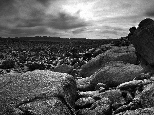 Desert, Stones