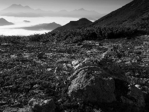 Stones, Fog, skimpy, VEGETATION, Mountains
