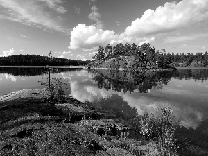 Island, clouds, rocks, River, Sky, Stones, forest