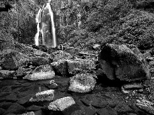 forest, rocks, Stones, waterfall