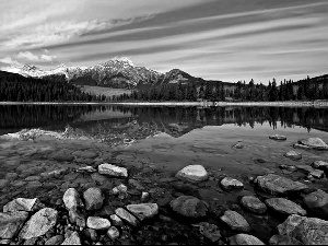 Stones, forest, lake