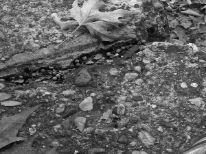 Leaf, Stones