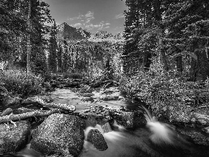 Mountains, River, Stones, forest