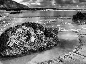 New, sea, Stones, Zelandia