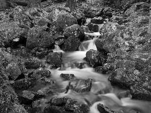 stream, mossy, Stones, cascade