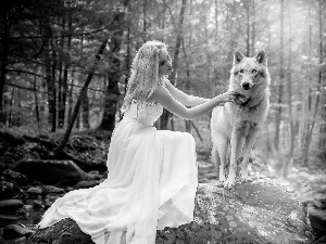 Stones, Wolf, Dress, forest, Women