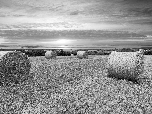 straw, harvest, sun, field, west