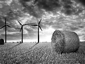 west, field, straw, sun