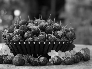 basket, strawberries