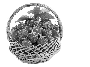 basket, strawberries