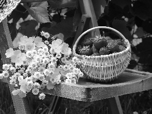 Chair, basket, strawberries, Flowers