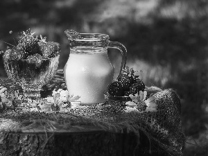 composition, milk, daisy, strawberries