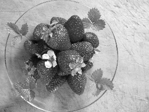 leaves, salad-bowl, strawberries