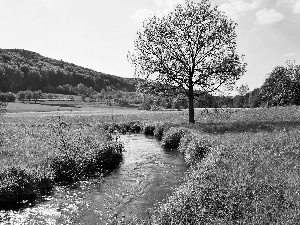 The Hills, medows, stream, woods