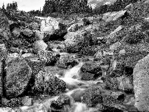 Stones, stream