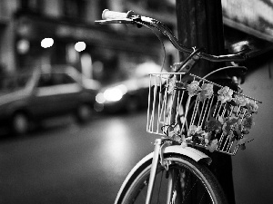 Bike, Town, Street, Flowers