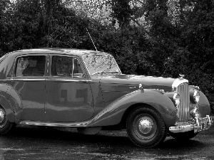 trees, viewes, Blue Rolls Royce, Street, antique