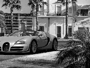 Palms, Bugatti Veyron Vitesse, Street