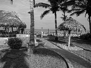 Strzechowe, canopies, Pavement, Palms, lawns