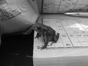 toad, Sudoku