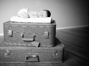 suitcase, sleeping, babe