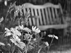 Yellow, Bench, Summer Rain, Flowers