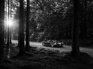 sun, Automobile, Way, Przebijające, forest