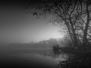 Fog, lake, sun, autumn, east, forest