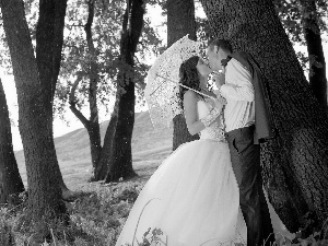 forest, Steam, sun, autumn, rays, newlyweds