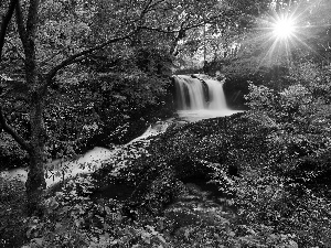 sun, autumn, forest, rays, waterfall