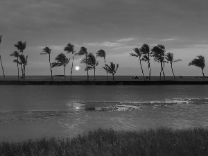 Beaches, west, sun, Palms