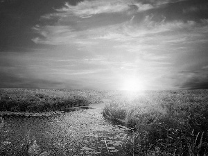 brook, Sky, sun, grass